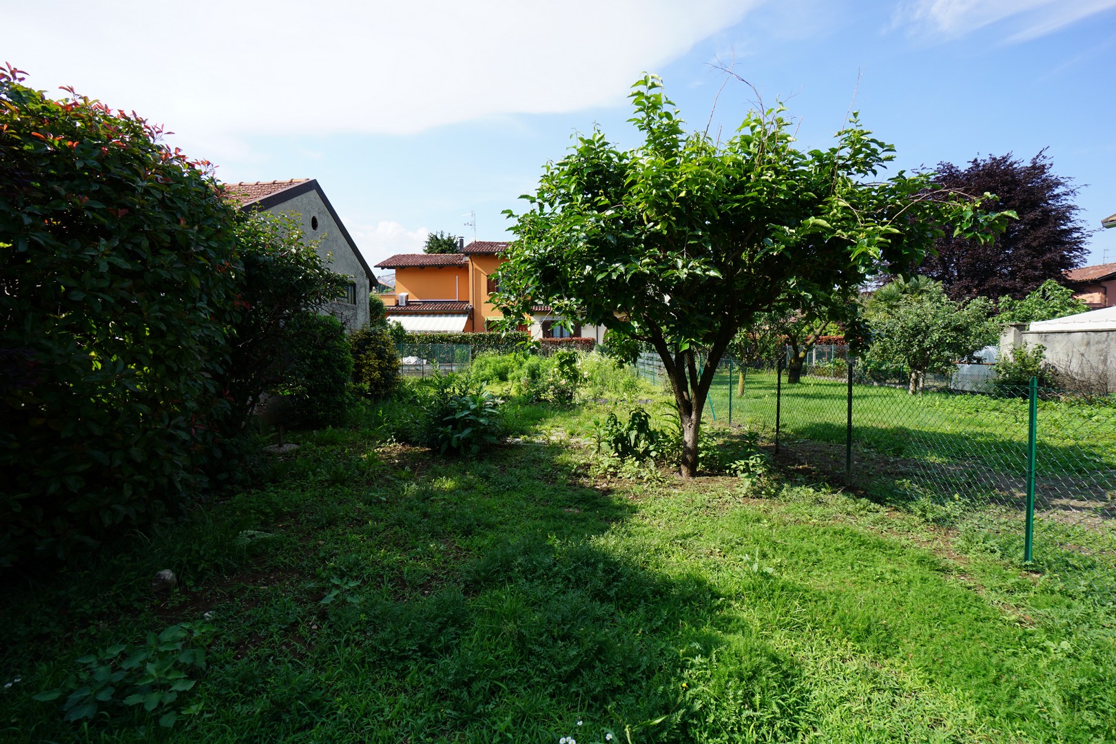 24_Via Milano 91 P2 Giardino