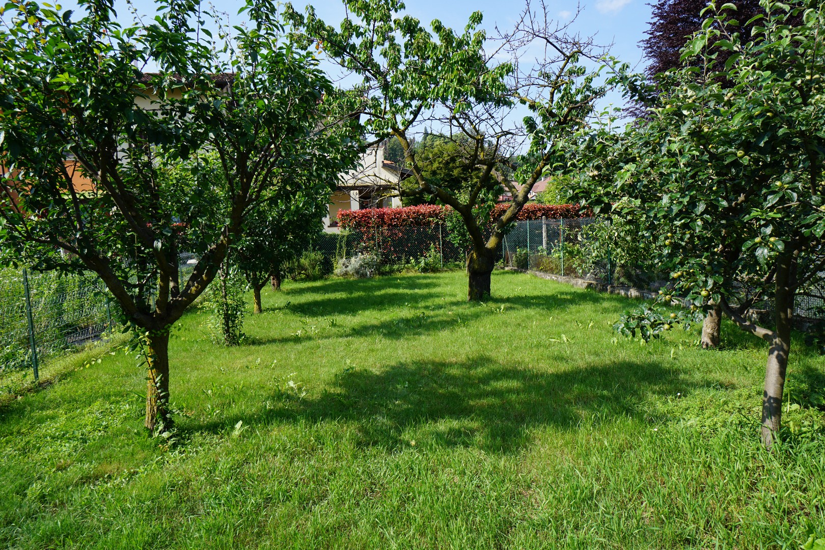 26_Via Milano 91 P2 Giardino