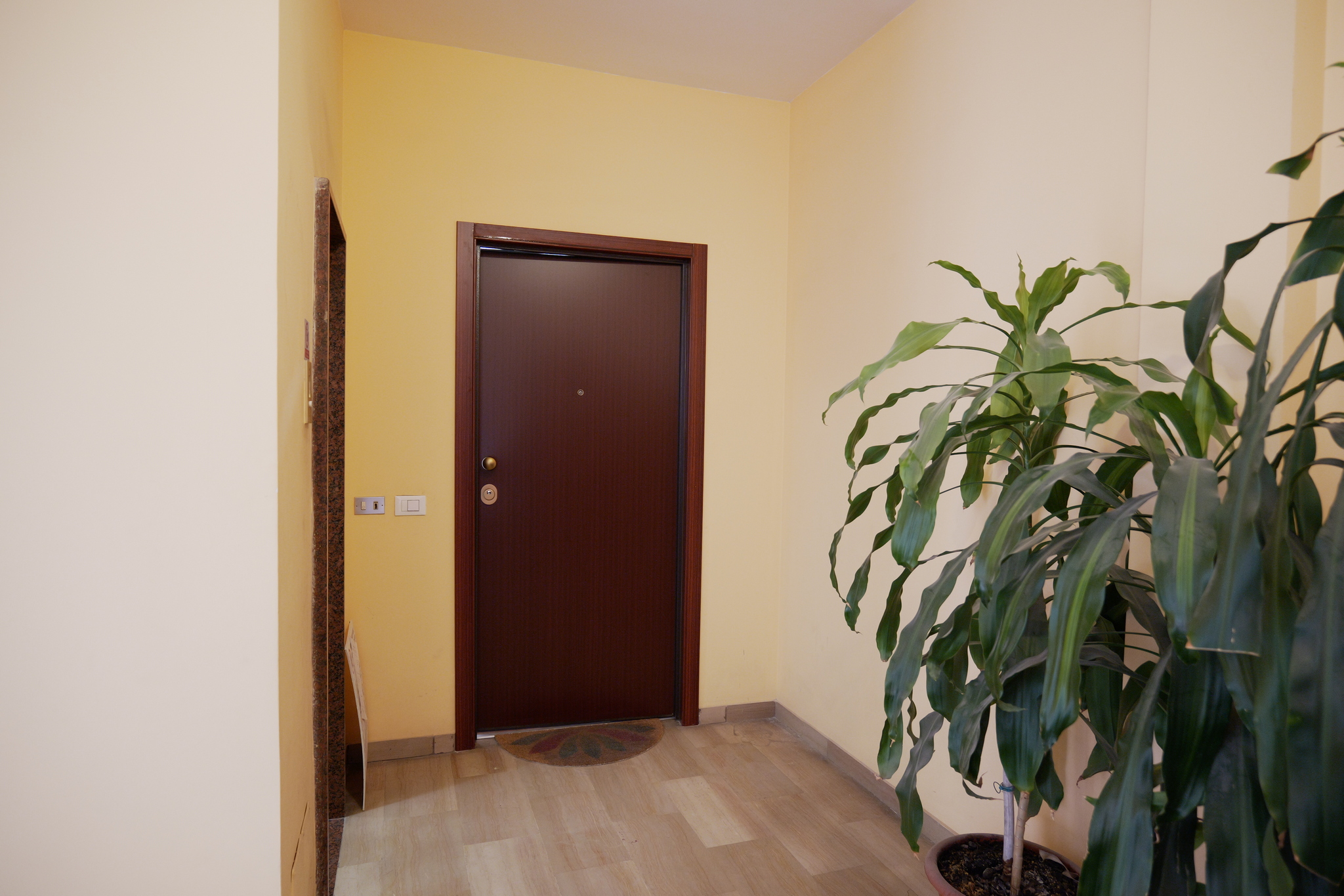 02_INGRESSO Viale Roma 12